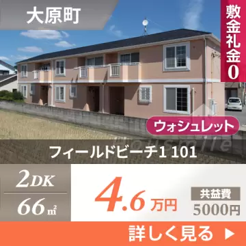フィールドビーチ1 101