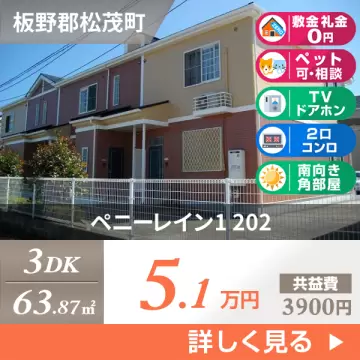 ペニーレイン1 202