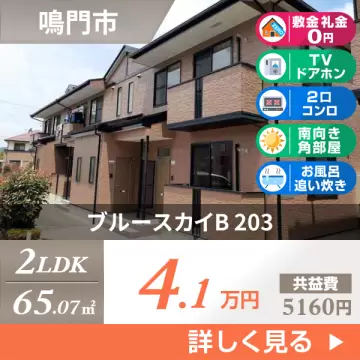 ブルースカイB 203