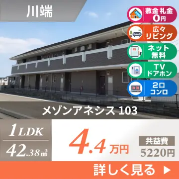 メゾンアネシス 103