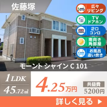 モーント シャイン C 101