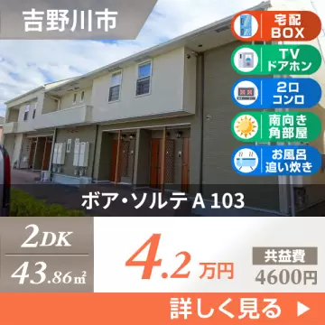 ボア・ソルテ A 103