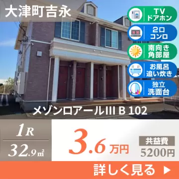 メゾンロアールIII B 102