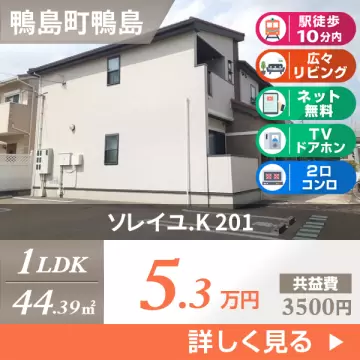 ソレイユ．K 201