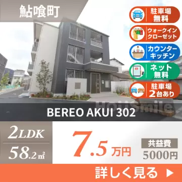 BEREO AKUI 302