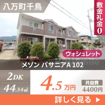 メゾン パサニアA 102