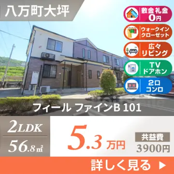 フィール ファインB 101