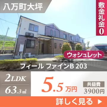 フィール ファインB 203