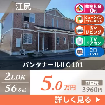 パンタナールII C 101