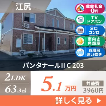 パンタナールII C 203