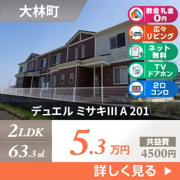 デュエル ミサキIII A 201