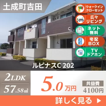 ルピナスC 202
