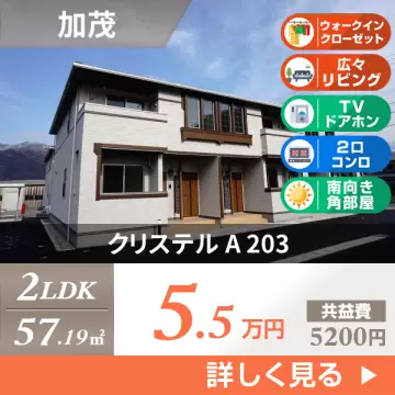 クリステル A 203