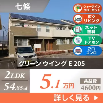 グリーン ウイング E 205