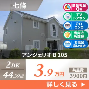 アンジェリオ B 105