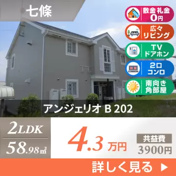 アンジェリオ B 202