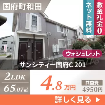 サンシティー国府C 201