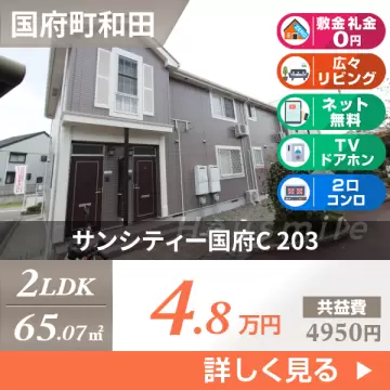 サンシティー国府C 203