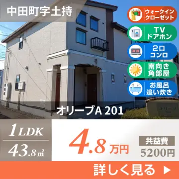 オリーブA 201