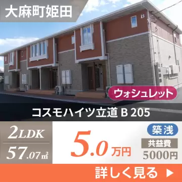 コスモハイツ立道 B 205