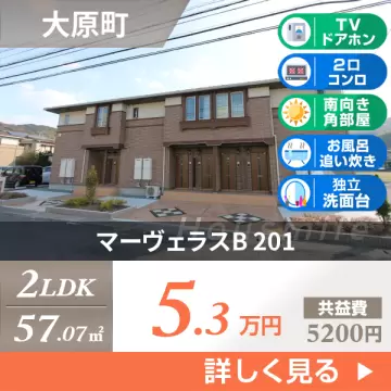 マーヴェラスB 201