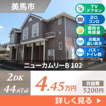 ニューカムリーB 102