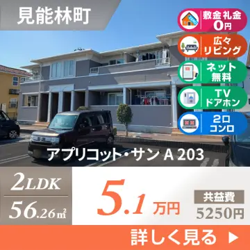 アプリコット・サン A 203