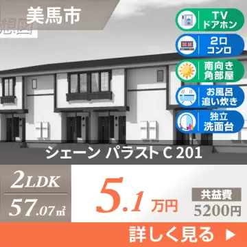シェーン パラスト C 201