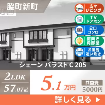 シェーン パラスト C 205