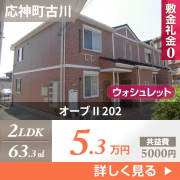 オーブ II 202