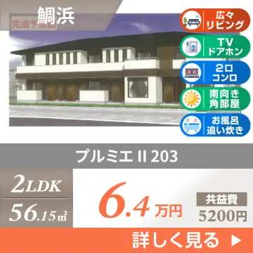 プルミエ II 203