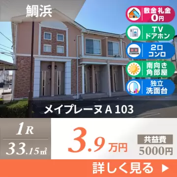 メイプレーヌ A 103