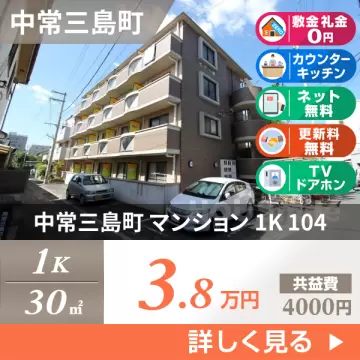 中常三島町 マンション 1K 104