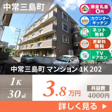中常三島町 マンション 1K 202