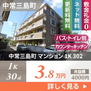 中常三島町 マンション 1K 302