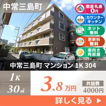 中常三島町 マンション 1K 304
