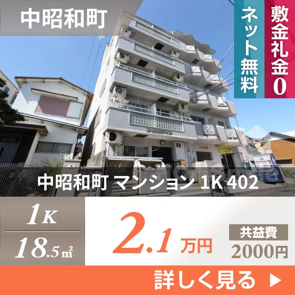 中昭和町 マンション 1K 402