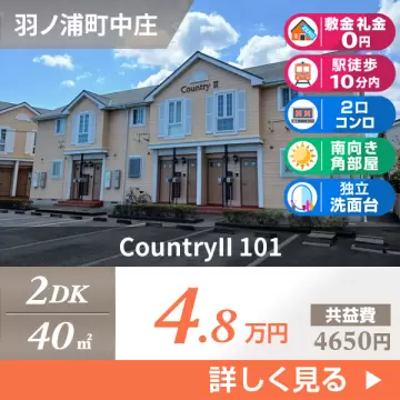 CountryII 101