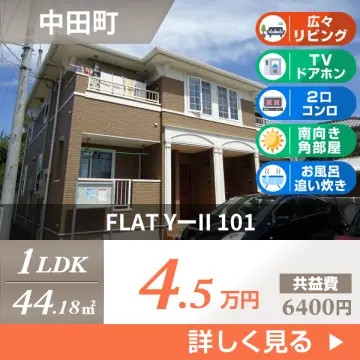 FLAT YーII 101