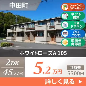 ホワイトローズA 105