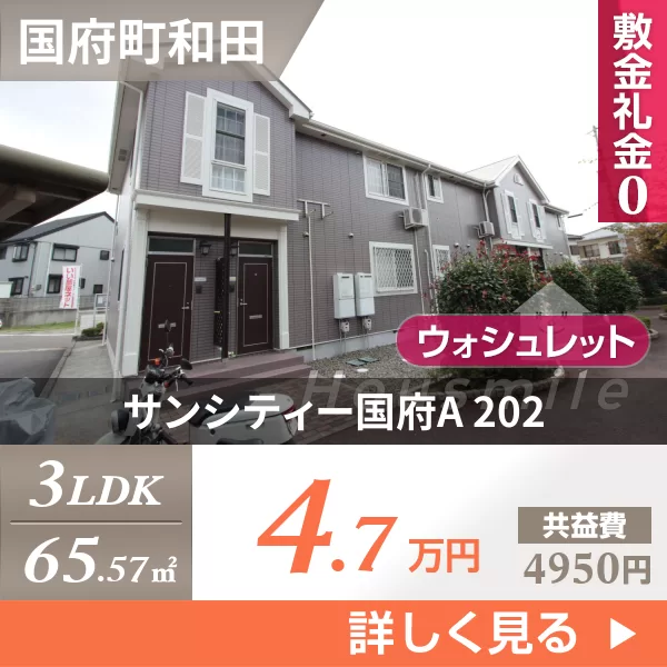 サンシティー国府A 202