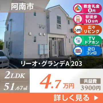 リーオ・グランデA 203