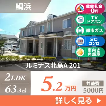 ルミナス北島A 201