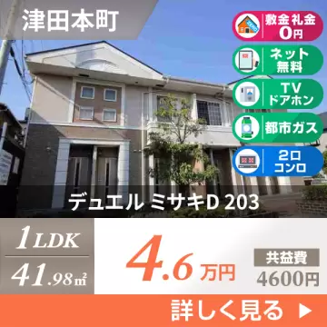 デュエル ミサキD 203