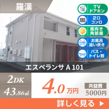 エスペランサ A 101