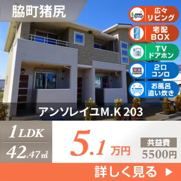 アンソレイユM．K 203