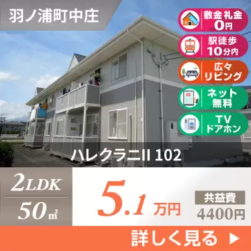 ハレクラニII 102