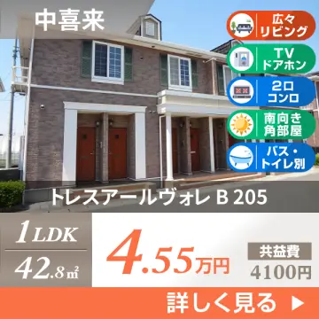 トレスアールヴォレ B 205