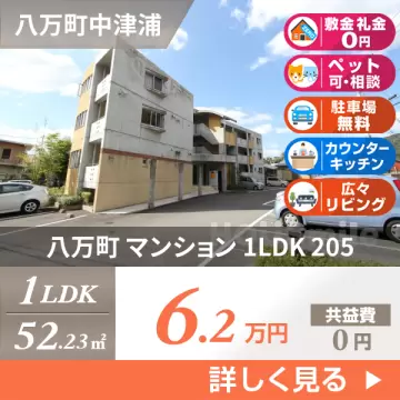 八万町 マンション 1LDK 205