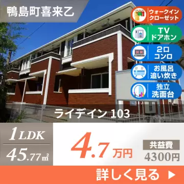 ライデイン 103